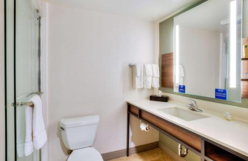 a bathroom with a toilet and a sink at Hilton Garden Inn Indianapolis Northeast/Fishers in Fishers