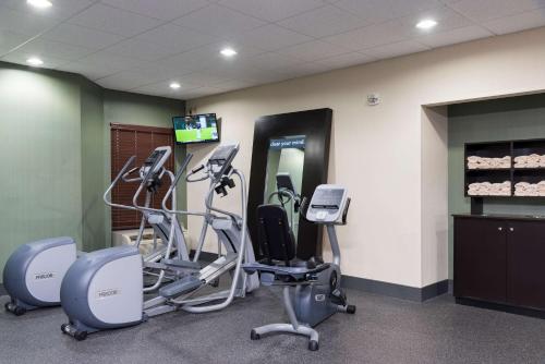 a gym with exercise equipment and a television in a room at Hampton Inn & Suites East Lansing in Okemos