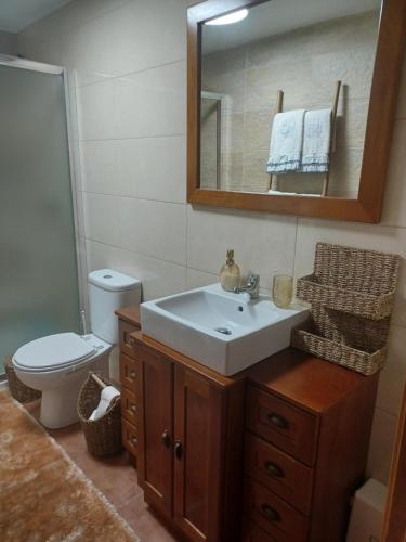 a bathroom with a sink and a toilet and a mirror at Refugio do Alviela in Amiães de Baixo