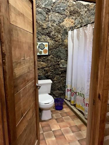 baño con aseo y pared de piedra en Estudio en la Montaña, en Tepoztlán