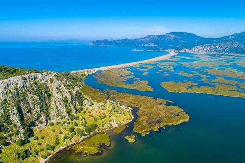 an aerial view of a beach and the water at Villa Ayla Paradise in Dalyan