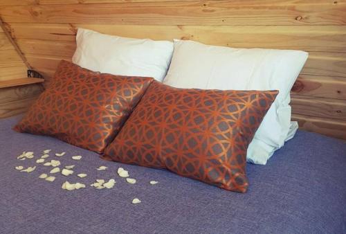 dos almohadas sentadas en una cama con palomitas de maíz en el suelo en Cabaña de huéspedes en un microviñedo familiar en Rauco