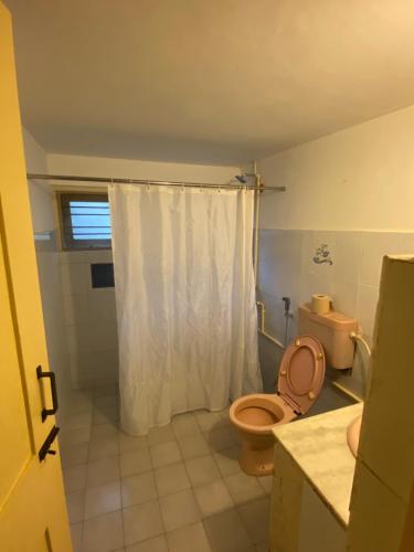 a bathroom with a toilet and a shower curtain at Anokhi Garden Guesthouse and Cafe in Mysore