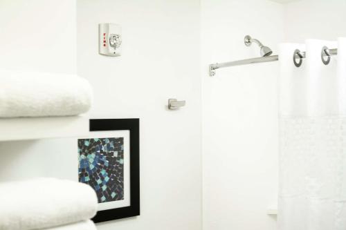 La salle de bains est pourvue d'une douche et d'une photo murale. dans l'établissement Hampton Inn and Suites La Crosse Downtown, à La Crosse