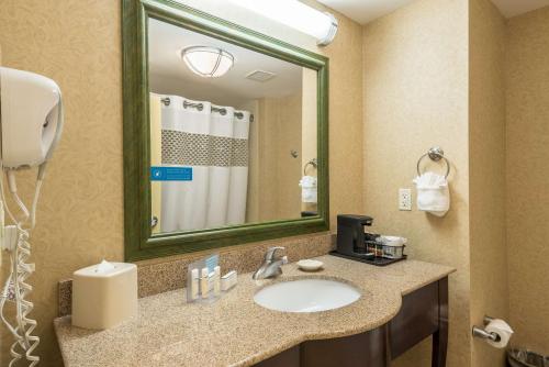 Hampton Inn & Suites Orlando-South Lake Buena Vista Image