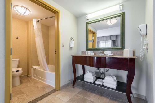 a bathroom with a sink and a toilet and a mirror at Hampton Inn & Suites Orlando-South Lake Buena Vista in Kissimmee