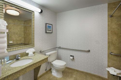 Ένα μπάνιο στο Hampton Inn Memphis/Collierville