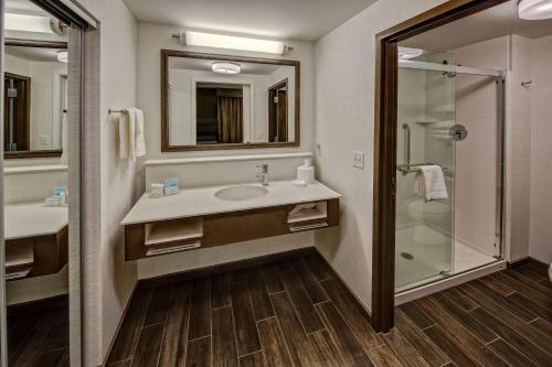a bathroom with a sink and a shower at Hampton Inn & Suites Memphis Germantown in Memphis