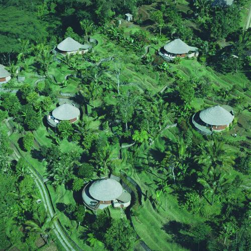 an overhead view of a resort with trees and grass at Bagus Jati Health & Wellbeing Retreat in Tegalalang