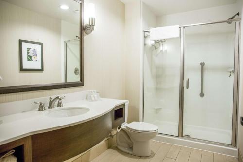 uma casa de banho com um WC, um lavatório e um chuveiro em Hilton Garden Inn Milwaukee Downtown em Milwaukee