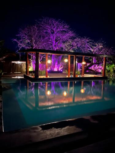 a house with a pool at night with lights at Baobab Bungalows in Jambiani