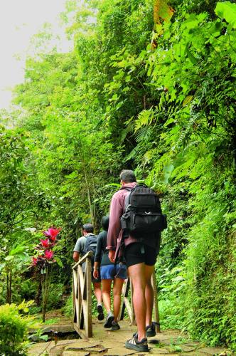 a group of people walking on a trail at Bagus Jati Health & Wellbeing Retreat in Tegalalang