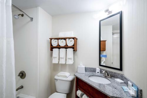 a bathroom with a toilet and a sink and a mirror at Hampton Inn & Suites Mooresville in Mooresville