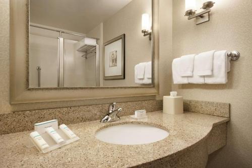 a bathroom with a sink and a mirror at Hilton Garden Inn Minneapolis Downtown in Minneapolis