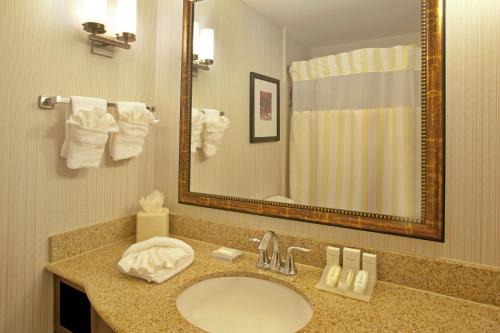 Baño del hotel con lavabo y espejo en Hilton Garden Inn Minneapolis/Eden Prairie, en Eden Prairie