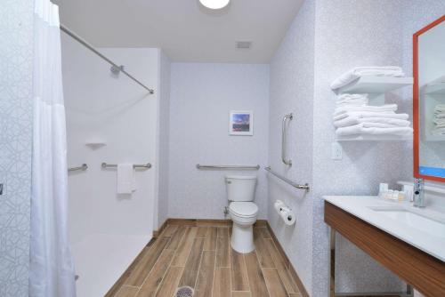 a bathroom with a toilet and a sink at Hampton Inn Lakeville Minneapolis, Mn in Lakeville