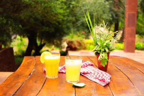 dos vasos de zumo de naranja en una mesa de madera en Découvrez les montagnes de l'Ourika, l'Atlas du Maro-c, en Marrakech