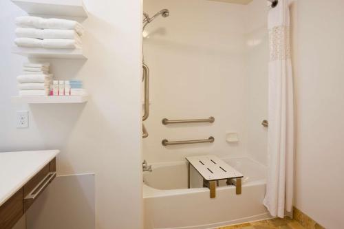 ein Badezimmer mit einer Dusche, einer Badewanne und einem Waschbecken in der Unterkunft Hampton Inn Minneapolis Northwest Maple Grove in Maple Grove