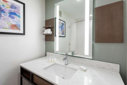 Koupelna v ubytování Hilton Garden Inn Minneapolis Saint Paul-Shoreview