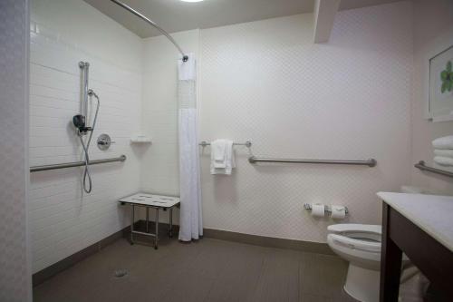 a bathroom with a shower and a toilet at Hampton Inn & Suites New Orleans/Elmwood in Harahan
