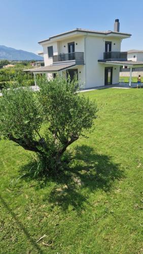 a tree in a yard in front of a house at VILLA SEA LUX PLAKA Litochorou in Plaka Litochorou