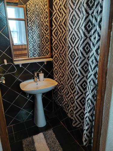 a bathroom with a sink and a mirror at Big Borak in Veliki Borak