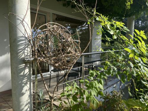 Κήπος έξω από το the nest ~ Your best rest