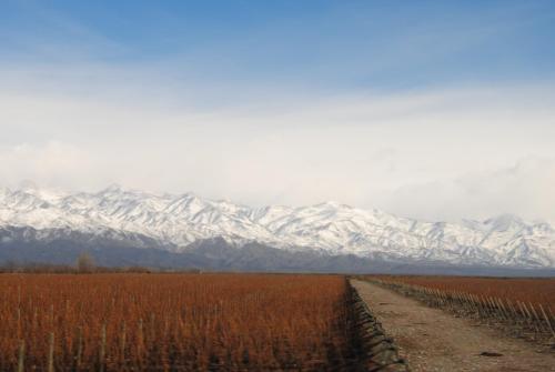 a dirt road in front of a snow covered mountain at Vid_y_Olivo. Cómodo departamento en el centro de Maipú in Maipú