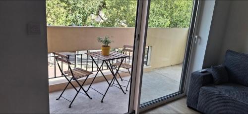 een tafel met een potplant op een balkon bij T2 Echappée Marine in Balaruc-les-Bains