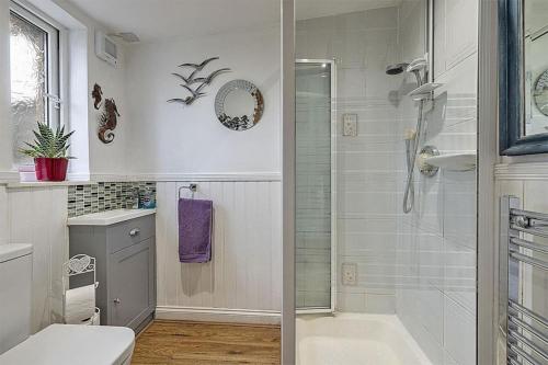 a bathroom with a shower and a toilet at 2 Swinton Mill Farm Cottage in Swinton