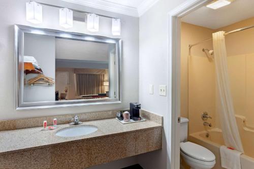 a bathroom with a sink and a toilet and a mirror at Econo Lodge Byron - Warner Robins in Byron