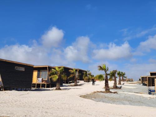 un grupo de casas en la playa con palmeras en Refugios del Mar, en Punta de Choros