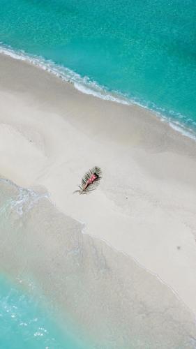 a bird standing on a beach next to the ocean at Summer Vibes Beach Front in Rasdu