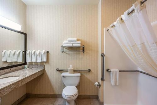 a bathroom with a toilet and a sink and a shower at Quality Inn & Suites in Hannibal