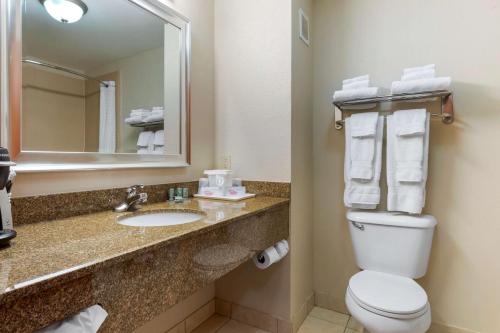 Bilik mandi di Best Western Seminole Inn and Suites