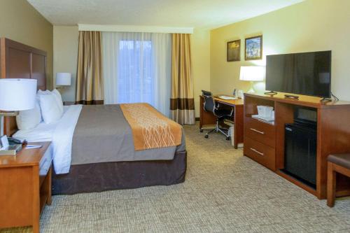 a hotel room with a bed and a desk and a television at Comfort Inn Salt Lake City Downtown in Salt Lake City