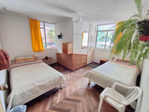 een kamer met 2 bedden, een stoel en ramen bij Hostel Plantas y Blanco in Baños