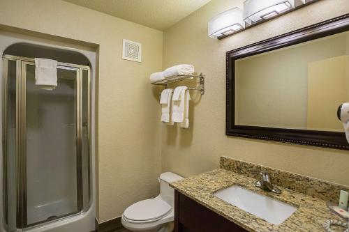 a bathroom with a toilet and a sink and a mirror at Clarion Inn & Suites in Evansville