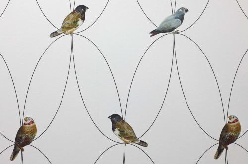 a group of birds sitting on top of plants at Radisson Blu Hotel East Midlands Airport in Castle Donington