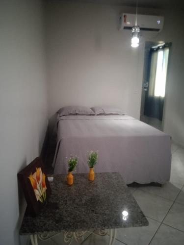 a bedroom with a bed and a table with two plants at Pousada Balsas in Balsas