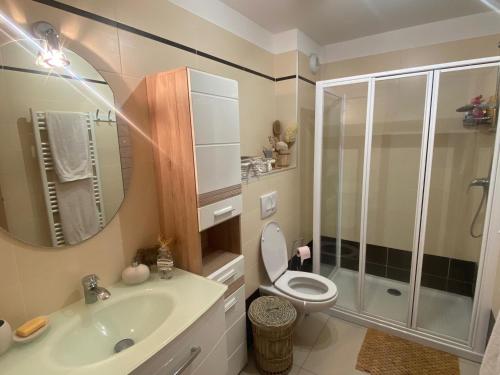 une salle de bain avec toilettes, lavabo et douche dans l'établissement Appartement spacieux, proche pistes et commerces, avec balcon sud et garage privatif - FR-1-445-193, à Montgenèvre