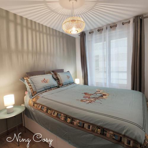 a bedroom with a king size bed with a chandelier at Superbe Cosy Duplex Appartement T3 Charpenne Tête D'or avec parking privé gratuit in Villeurbanne