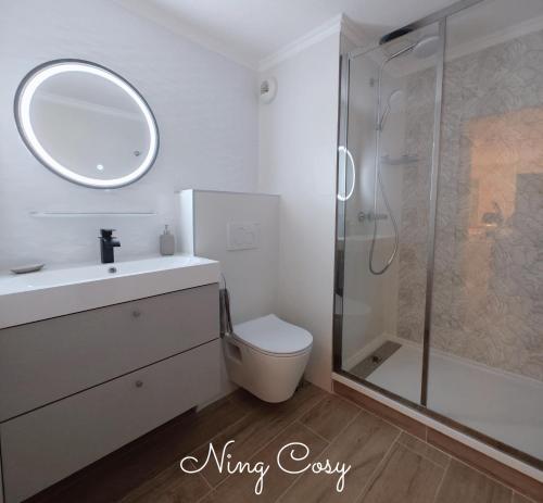 une salle de bain avec toilettes, lavabo et douche dans l'établissement Superbe Cosy Duplex Appartement T3 Charpenne Tête D'or avec parking privé gratuit, à Villeurbanne