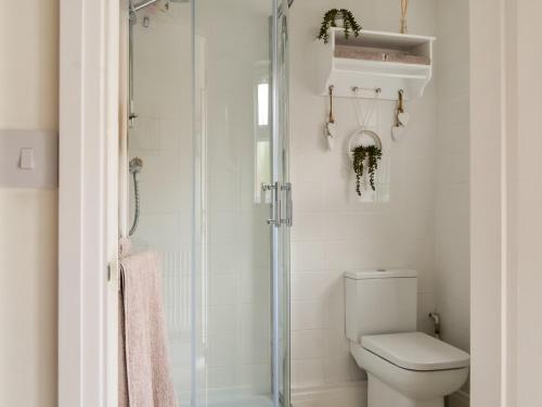 a white bathroom with a toilet and a shower at Ivy Cottage in North Coates