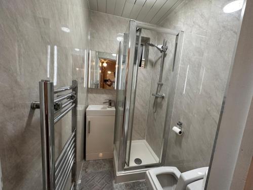 een badkamer met een douche en een toilet bij 5 Bed 5 Bath / Brick Lane Central London E1 in Londen