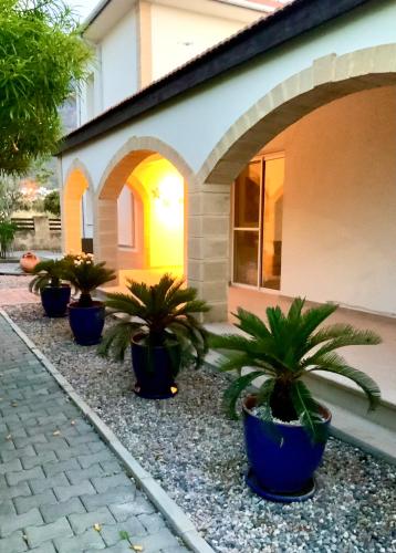a row of potted plants in front of a house at Casa Santos Kyrenia in Kérynia