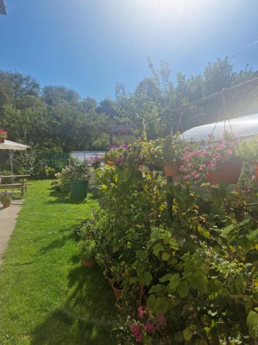 a garden with flowers and a boat in the background at Veludo Apartments in Banská Bystrica