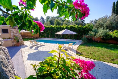 una piscina con ombrellone e alcuni fiori rosa di Paliabelo Village House a Skriperón