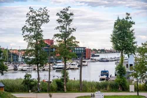 Lake Rental Spacerowa