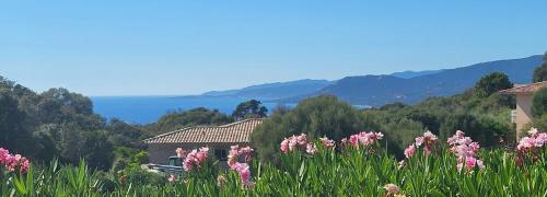 a field of pink flowers in front of a house at T2 Propriano vue mer, neuf, climatisé et classé 3 étoiles in Viggianello